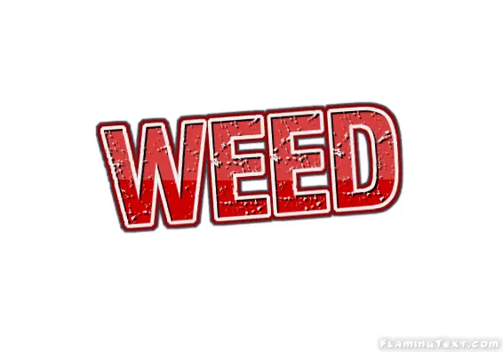 Weed 市