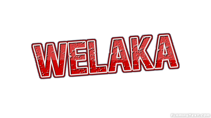 Welaka City