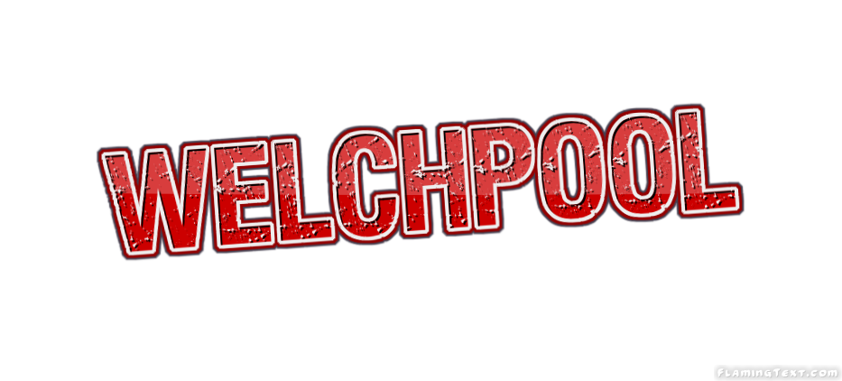 Welchpool город
