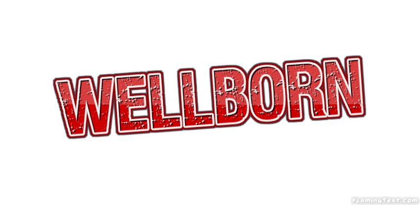 Wellborn город