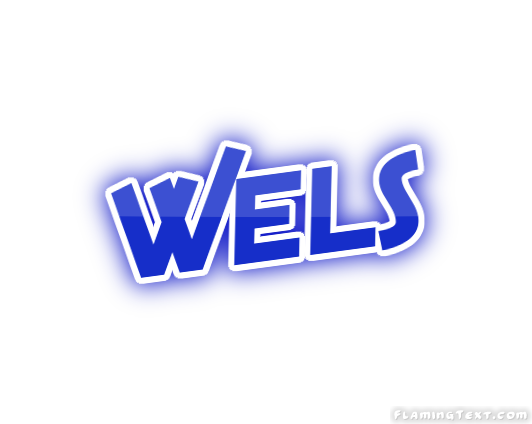 Wels مدينة