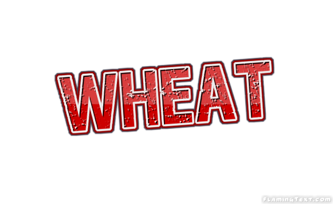 Wheat 市