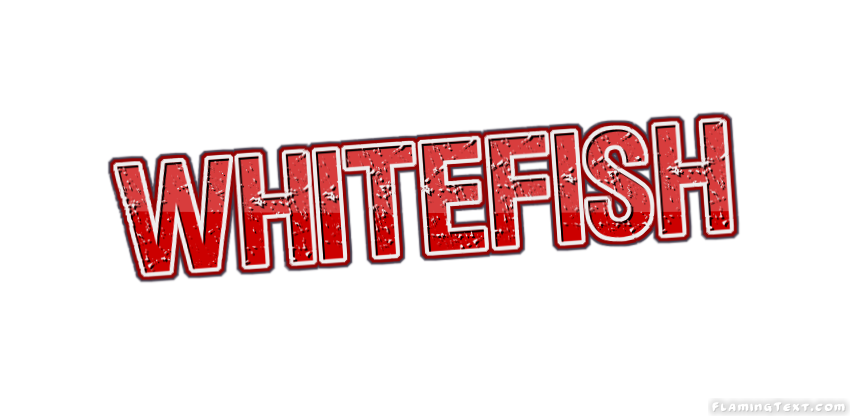Whitefish Faridabad