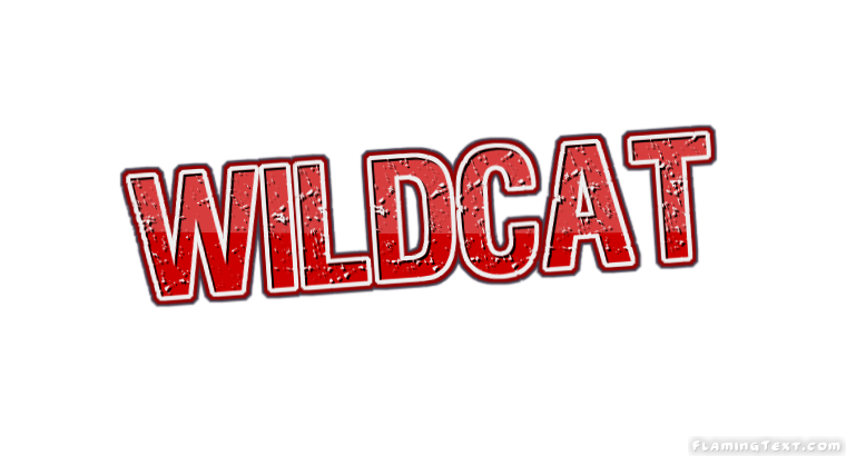 Wildcat город