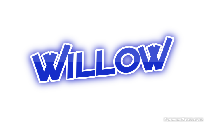 Willow город