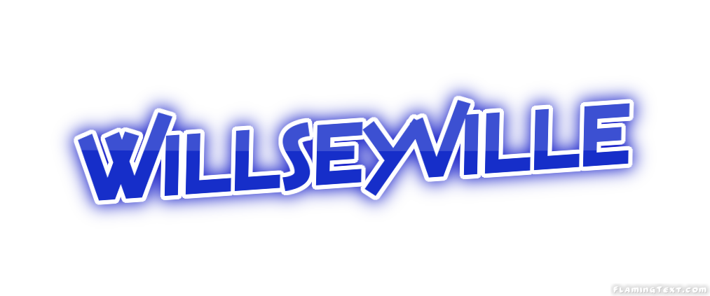 Willseyville город