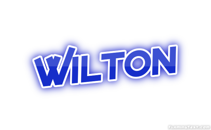 Wilton город