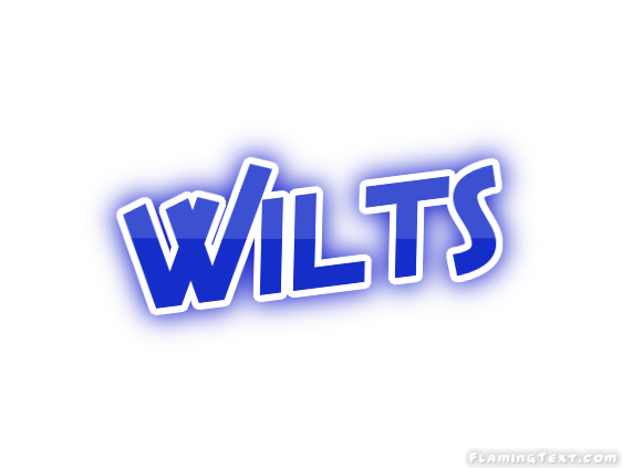 Wilts 市
