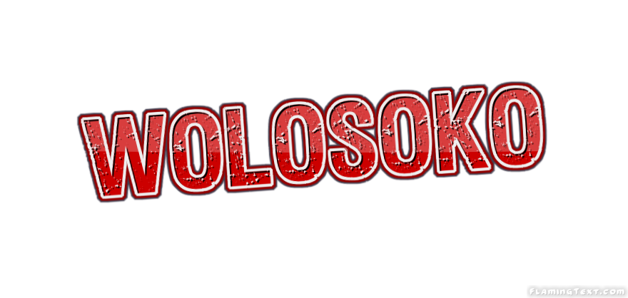 Wolosoko City