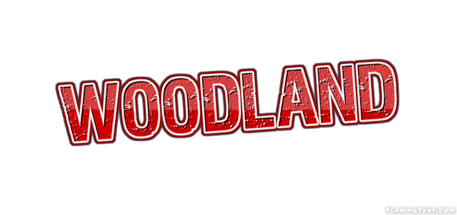 Woodland город