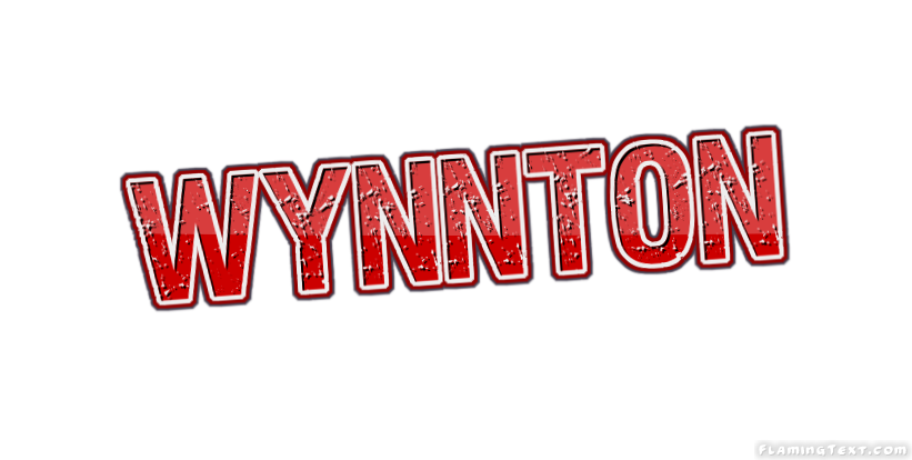 Wynnton город