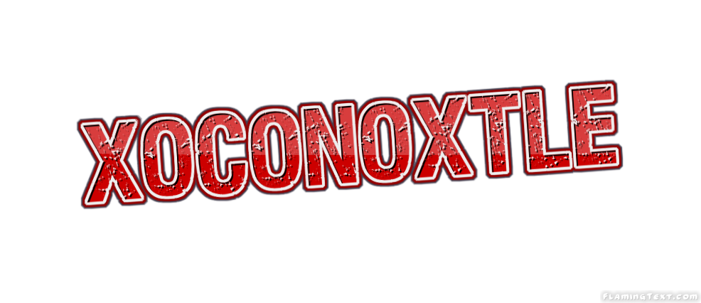 Xoconoxtle City