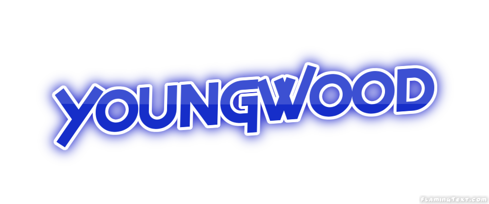 Youngwood город