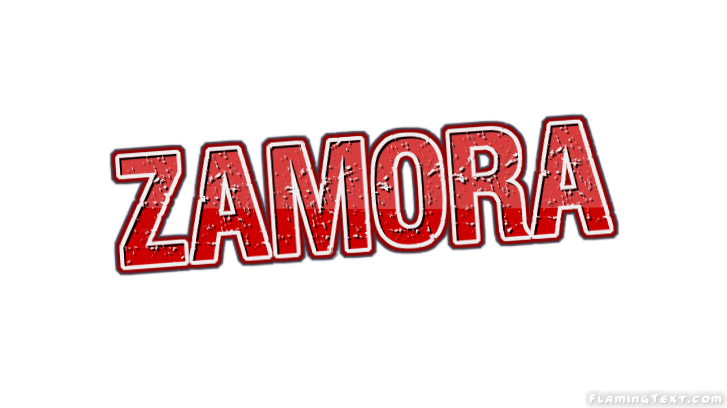 Zamora 市