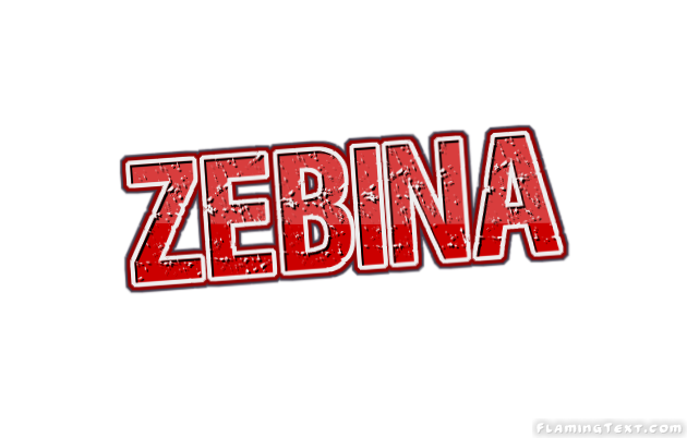 Zebina City