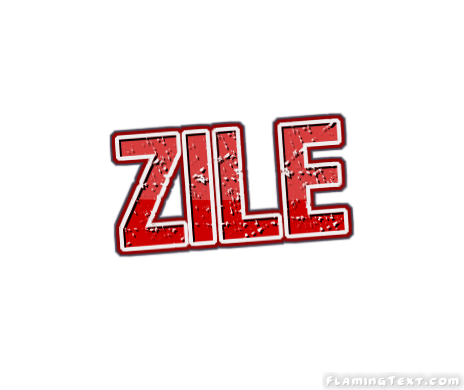 Zile City