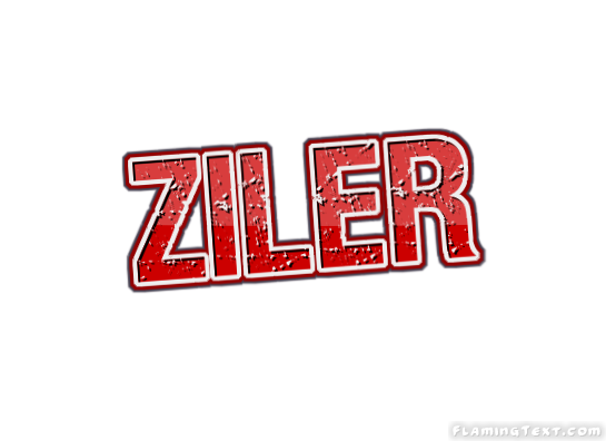 Ziler 市