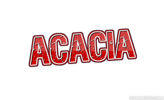 Acacia Лого