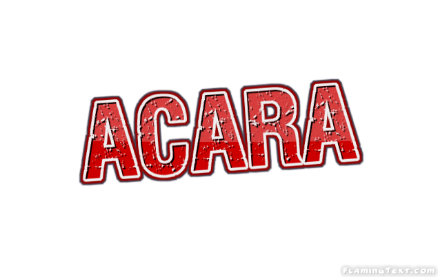 Acara ロゴ