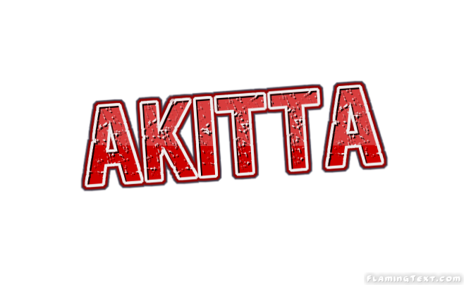 Akitta Logotipo