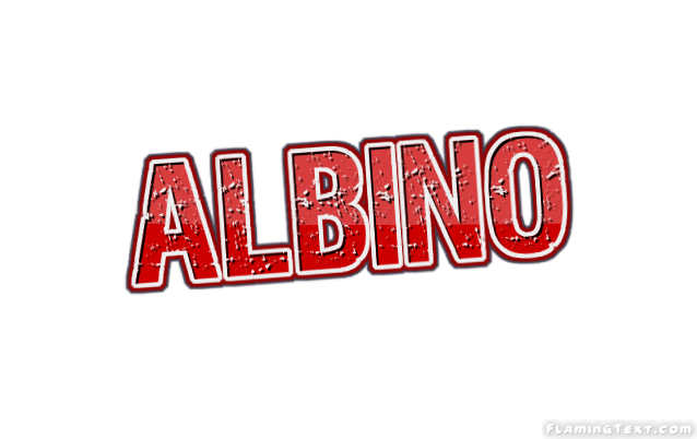 Albino شعار