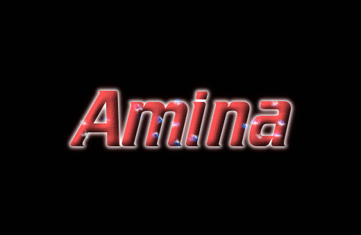 Amina Лого