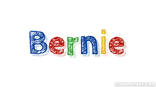 Bernie شعار