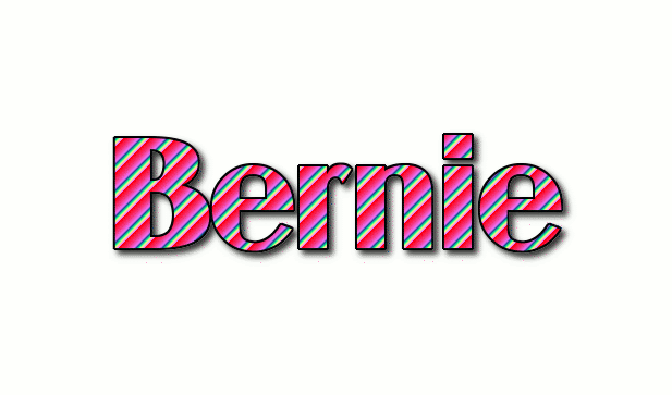 Bernie 徽标