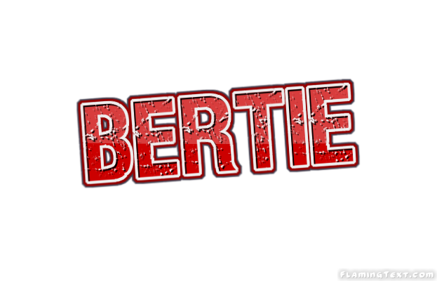 Bertie ロゴ