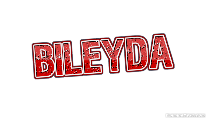 Bileyda Logo