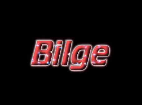Bilge Лого