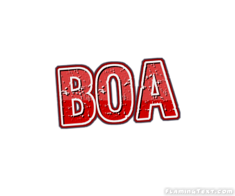 Boa Лого