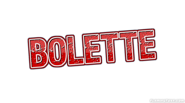 Bolette Logo