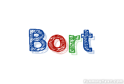 Bort 徽标