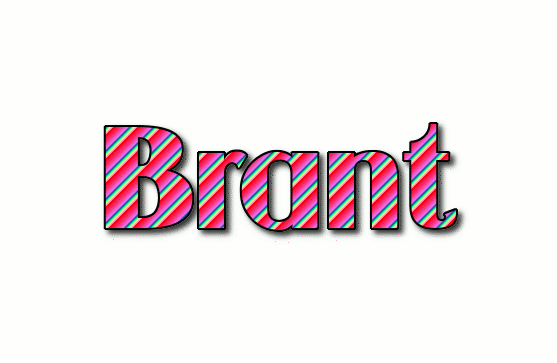 Brant 徽标