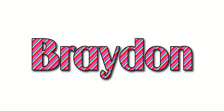 Braydon 徽标
