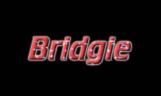 Bridgie Logo