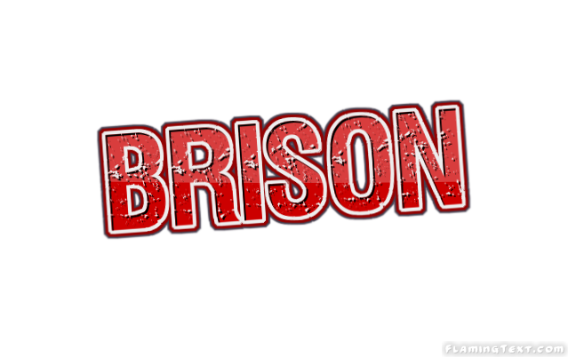 Brison 徽标
