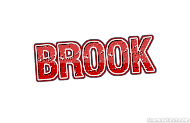 Brook ロゴ
