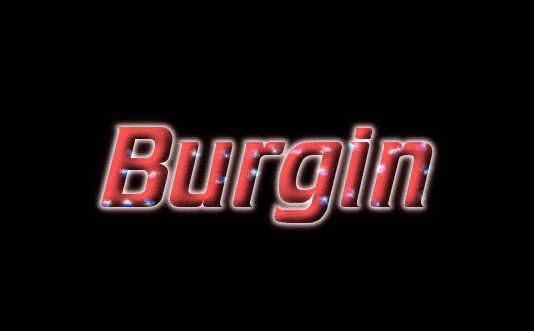 Burgin 徽标