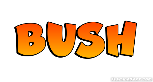 Bush Logo