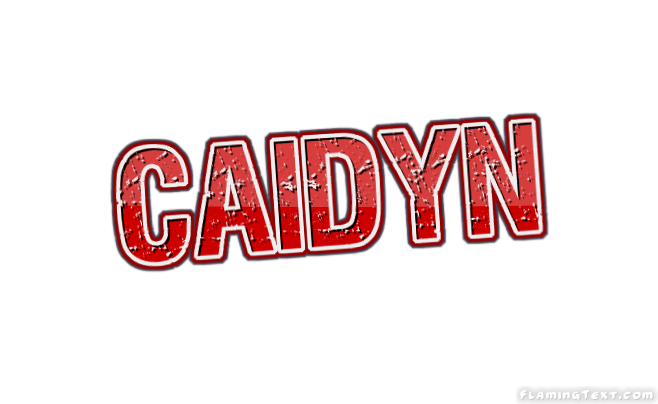 Caidyn 徽标