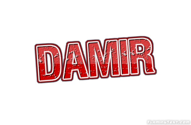 Damir ロゴ