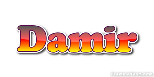 Damir Logo