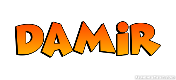 Damir ロゴ