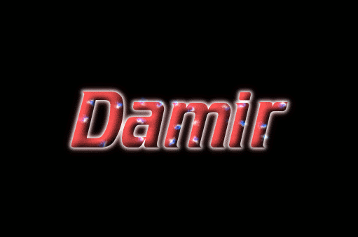 Damir 徽标