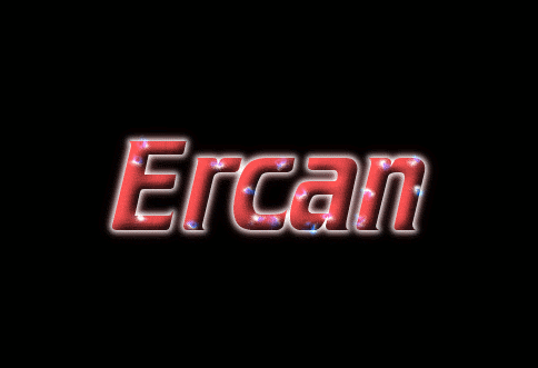 Ercan ロゴ