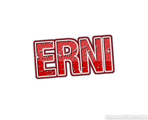 Erni Logo
