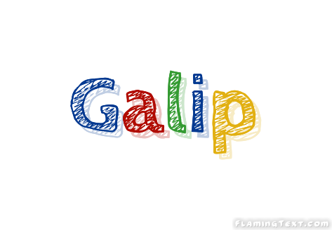 Galip ロゴ