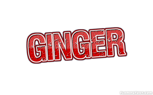 Ginger लोगो
